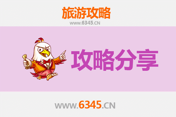 抚州金溪至湄洲岛旅游攻略：跟团还是自由行深度解析